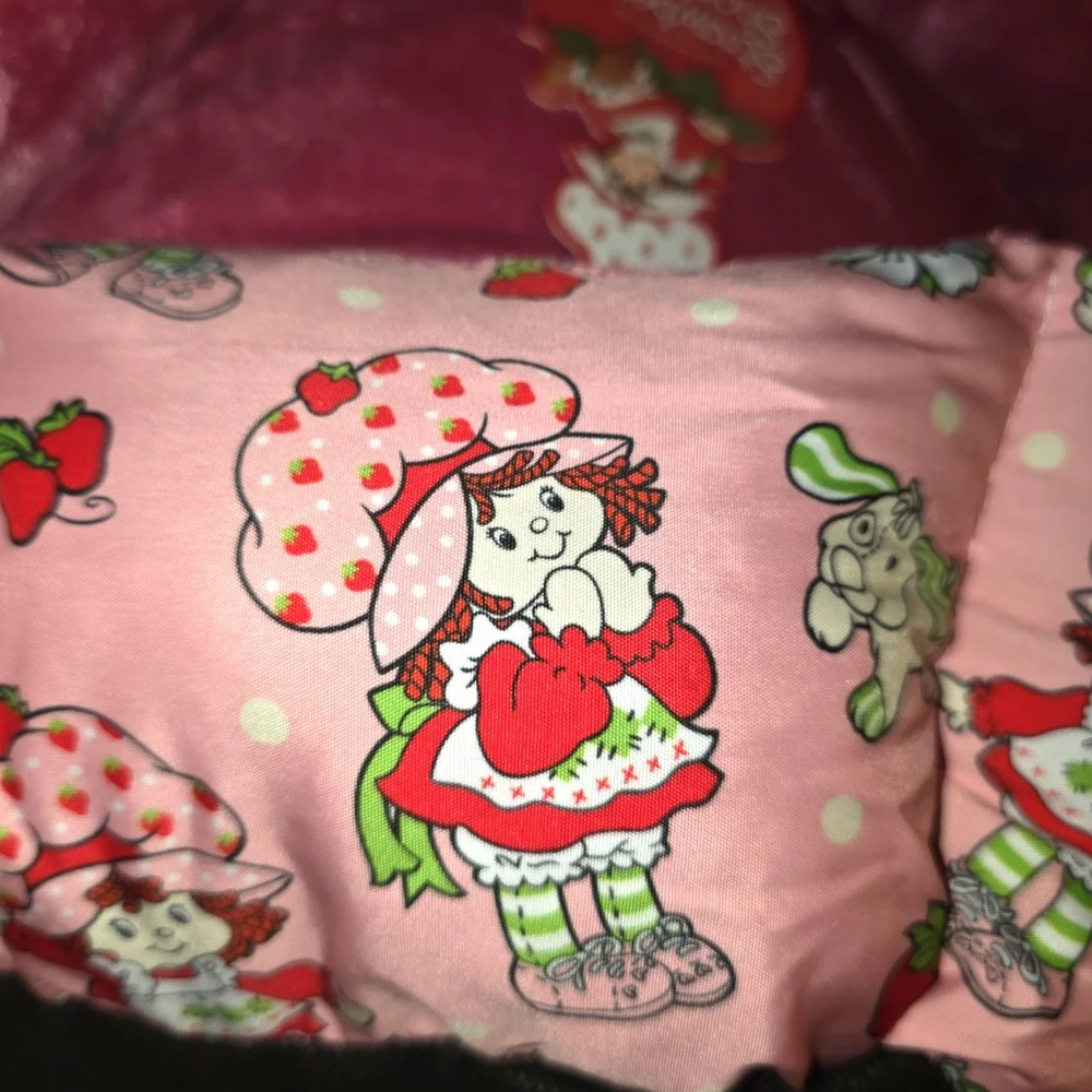 Strawberry Shortcake and Pupcake Plush Pet Bed Velvety Lining Very Cushy, BNWT